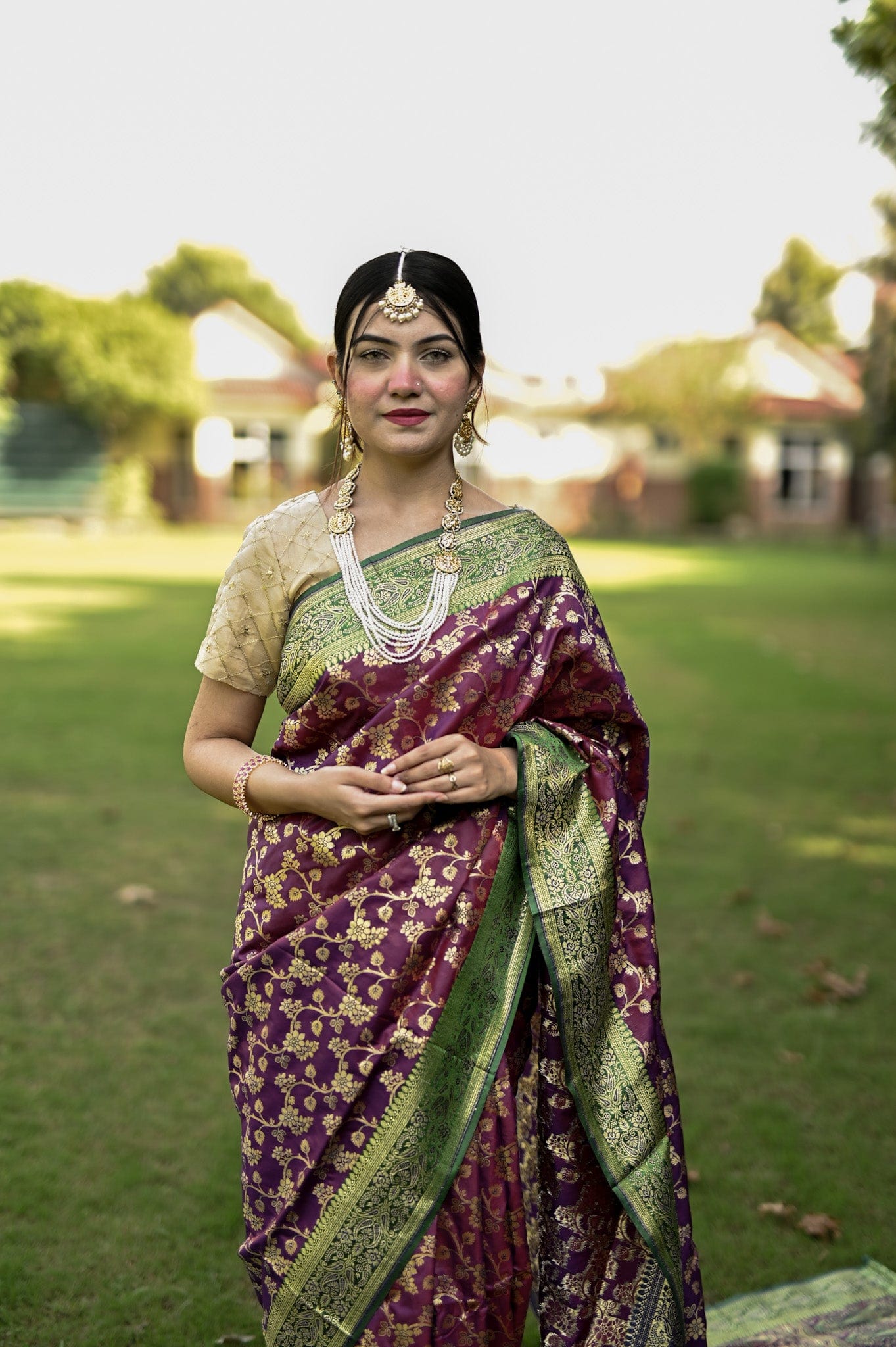 Jaal Silk Banarsi Saree (I)