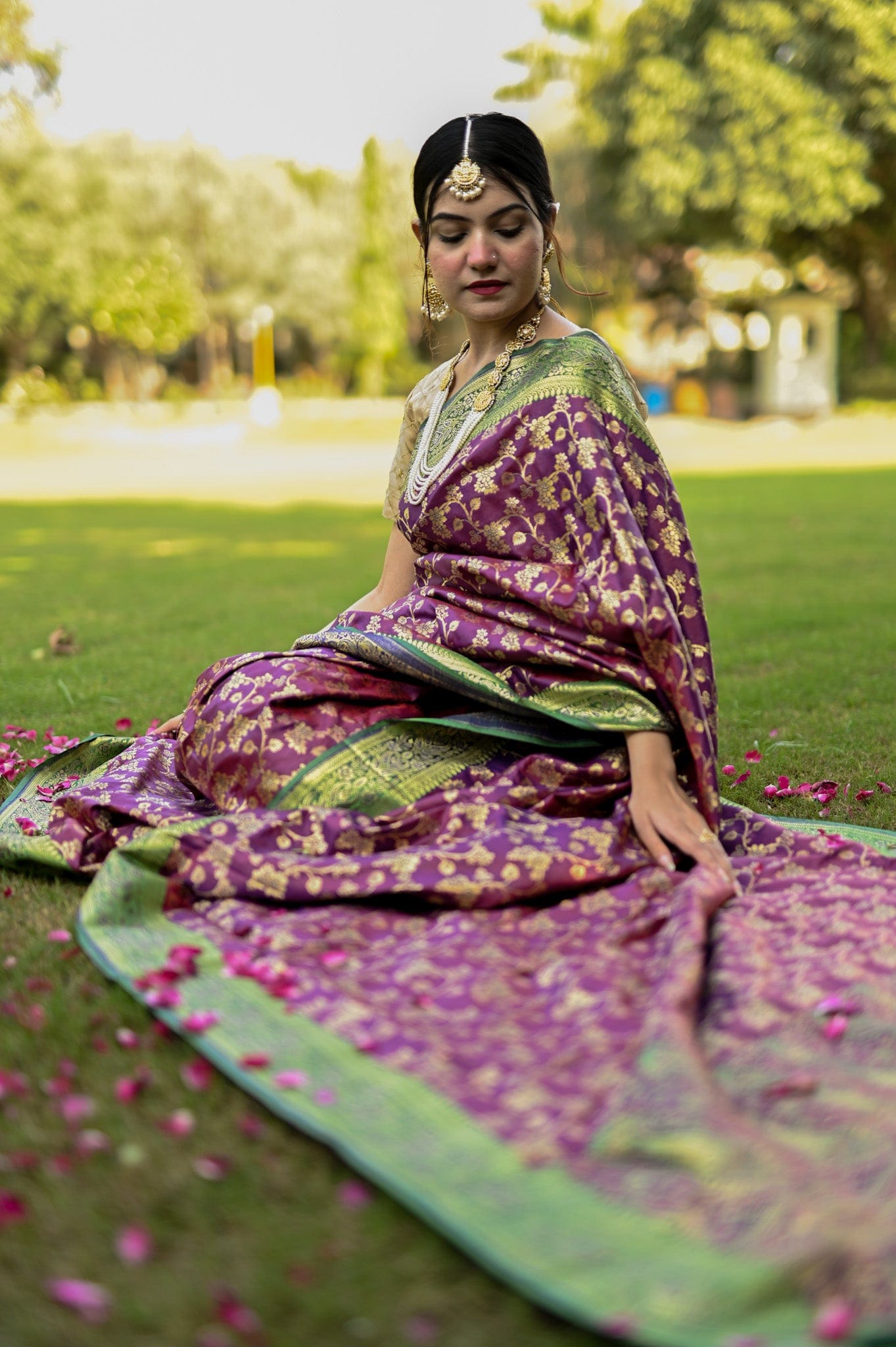 Jaal Silk Banarsi Saree (I)