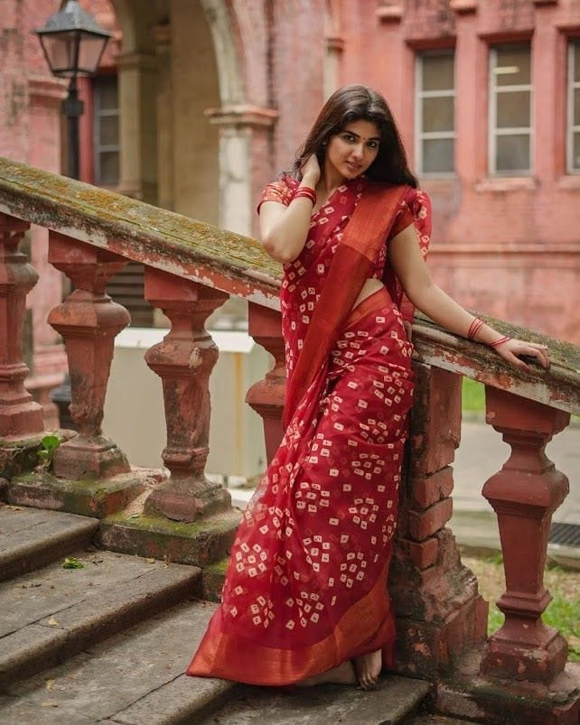 Rajisthani Handblocked