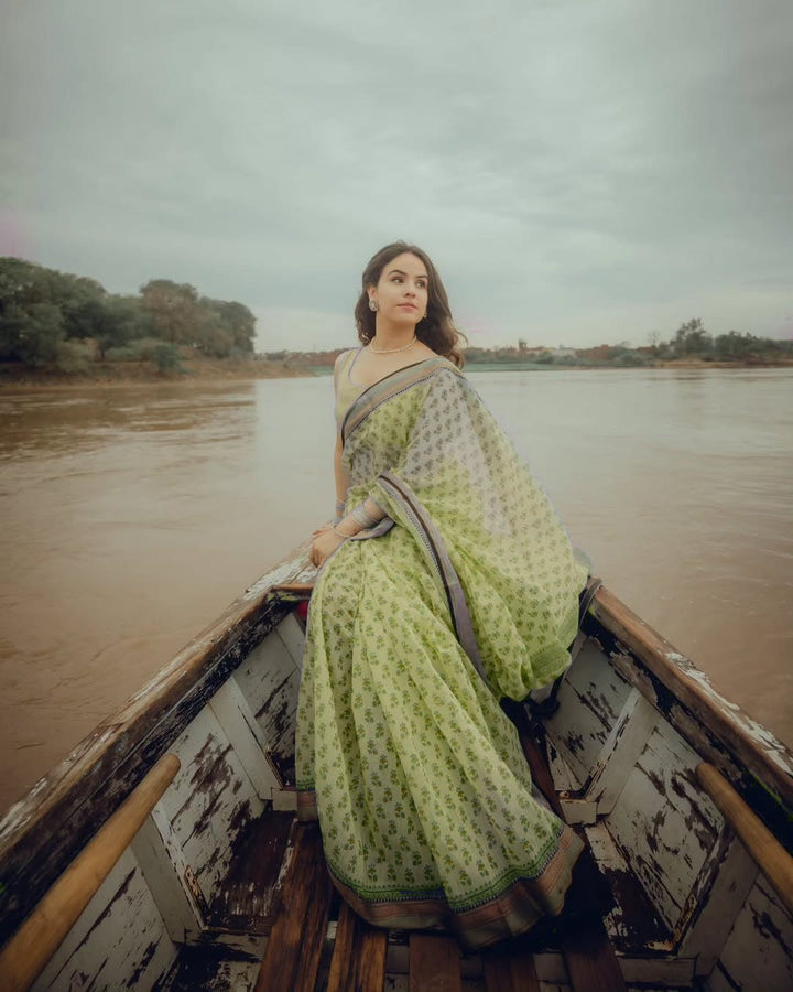 Noroz Sarees: Exquisite Pakistani Sarees for Every Occasion