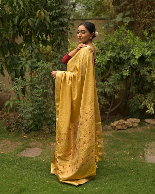 Meena Stitched Saree