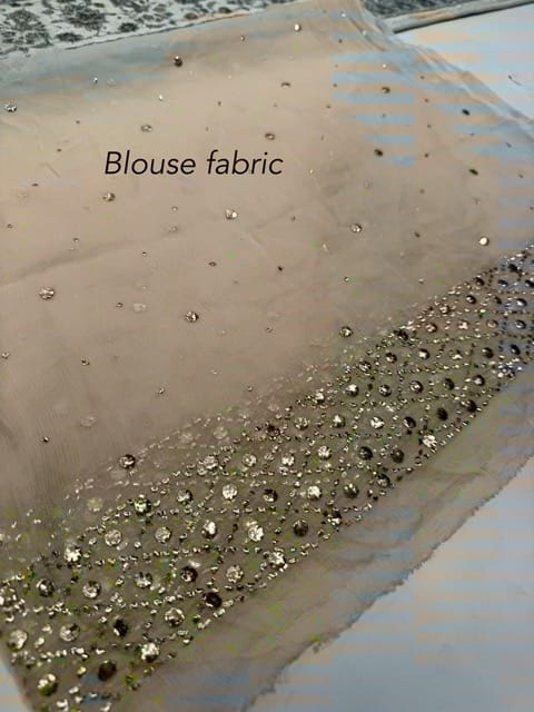 Rano - Pure Crinkle Chiffon Mukesh Handwork