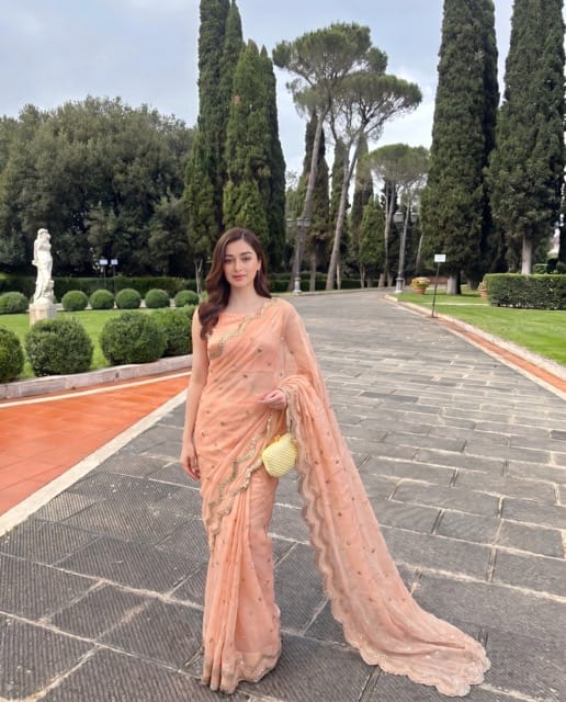 Amaltas- Peach chiffon Foil work saree